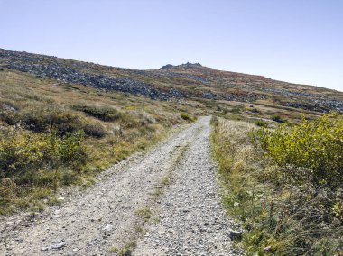 Bulgaristan 'ın Cherni Vrah zirvesi yakınlarındaki Vitosha Dağı' nın şaşırtıcı sonbahar manzarası