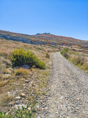 Bulgaristan 'ın Cherni Vrah zirvesi yakınlarındaki Vitosha Dağı' nın şaşırtıcı sonbahar manzarası