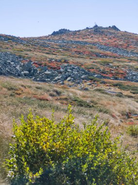 Bulgaristan 'ın Cherni Vrah zirvesi yakınlarındaki Vitosha Dağı' nın şaşırtıcı sonbahar manzarası