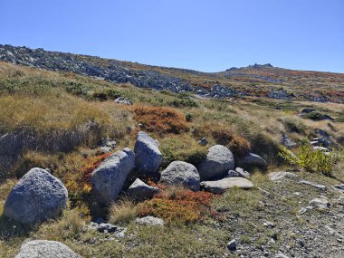 Bulgaristan 'ın Cherni Vrah zirvesi yakınlarındaki Vitosha Dağı' nın şaşırtıcı sonbahar manzarası
