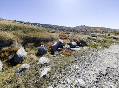 Bulgaristan 'ın Cherni Vrah zirvesi yakınlarındaki Vitosha Dağı' nın şaşırtıcı sonbahar manzarası
