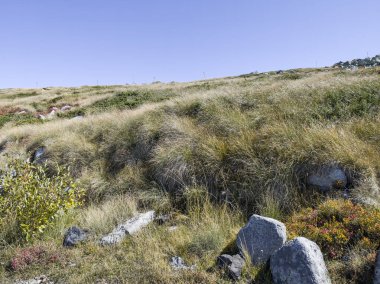 Bulgaristan 'ın Cherni Vrah zirvesi yakınlarındaki Vitosha Dağı' nın şaşırtıcı sonbahar manzarası