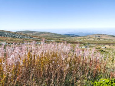 Bulgaristan 'ın Cherni Vrah zirvesi yakınlarındaki Vitosha Dağı' nın şaşırtıcı sonbahar manzarası