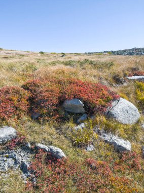 Bulgaristan 'ın Cherni Vrah zirvesi yakınlarındaki Vitosha Dağı' nın şaşırtıcı sonbahar manzarası
