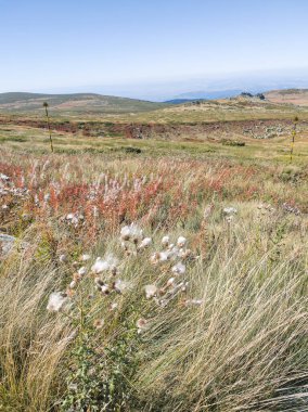 Bulgaristan 'ın Cherni Vrah zirvesi yakınlarındaki Vitosha Dağı' nın şaşırtıcı sonbahar manzarası