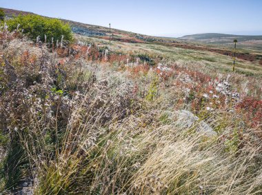 Bulgaristan 'ın Cherni Vrah zirvesi yakınlarındaki Vitosha Dağı' nın şaşırtıcı sonbahar manzarası