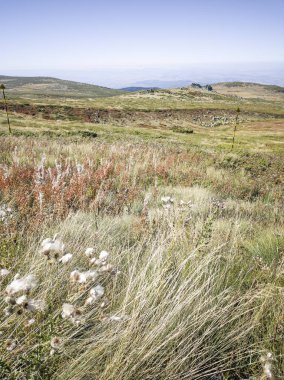 Bulgaristan 'ın Cherni Vrah zirvesi yakınlarındaki Vitosha Dağı' nın şaşırtıcı sonbahar manzarası