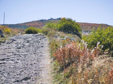 Bulgaristan 'ın Cherni Vrah zirvesi yakınlarındaki Vitosha Dağı' nın şaşırtıcı sonbahar manzarası