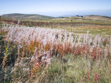 Bulgaristan 'ın Cherni Vrah zirvesi yakınlarındaki Vitosha Dağı' nın şaşırtıcı sonbahar manzarası