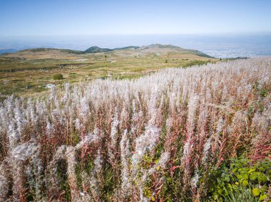 Bulgaristan 'ın Cherni Vrah zirvesi yakınlarındaki Vitosha Dağı' nın şaşırtıcı sonbahar manzarası