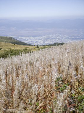 Bulgaristan 'ın Cherni Vrah zirvesi yakınlarındaki Vitosha Dağı' nın şaşırtıcı sonbahar manzarası