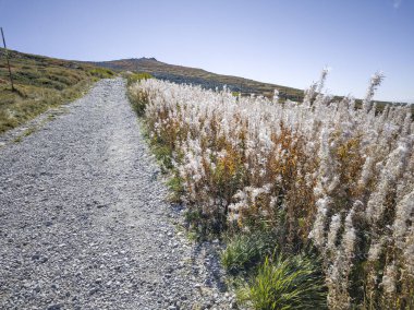 Bulgaristan 'ın Cherni Vrah zirvesi yakınlarındaki Vitosha Dağı' nın şaşırtıcı sonbahar manzarası