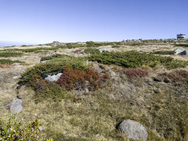 Bulgaristan 'ın Cherni Vrah zirvesi yakınlarındaki Vitosha Dağı' nın şaşırtıcı sonbahar manzarası