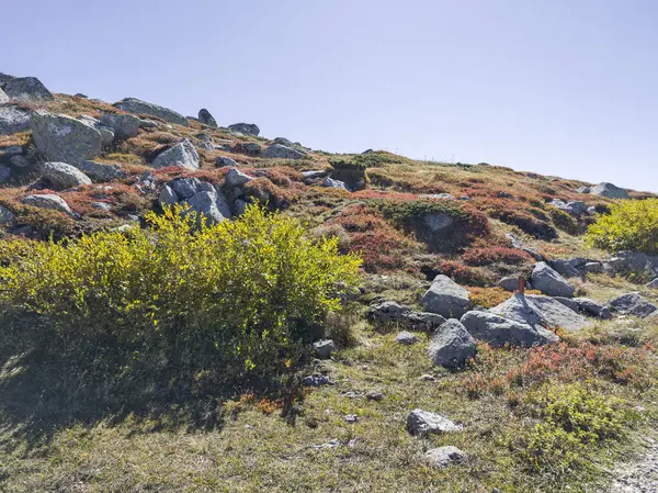 Bulgaristan 'ın Cherni Vrah zirvesi yakınlarındaki Vitosha Dağı' nın şaşırtıcı sonbahar manzarası