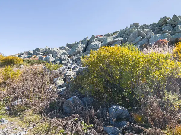 Bulgaristan 'ın Cherni Vrah zirvesi yakınlarındaki Vitosha Dağı' nın şaşırtıcı sonbahar manzarası