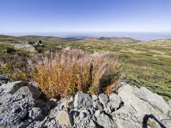 Bulgaristan 'ın Cherni Vrah zirvesi yakınlarındaki Vitosha Dağı' nın şaşırtıcı sonbahar manzarası