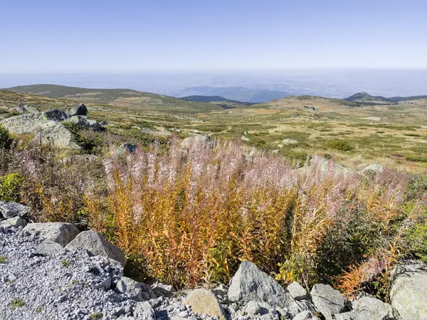 Bulgaristan 'ın Cherni Vrah zirvesi yakınlarındaki Vitosha Dağı' nın şaşırtıcı sonbahar manzarası