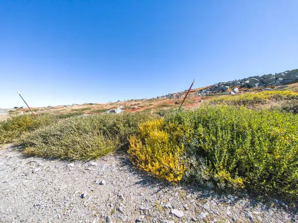 Bulgaristan 'ın Cherni Vrah zirvesi yakınlarındaki Vitosha Dağı' nın şaşırtıcı sonbahar manzarası