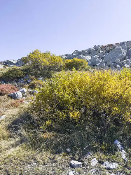 Bulgaristan 'ın Cherni Vrah zirvesi yakınlarındaki Vitosha Dağı' nın şaşırtıcı sonbahar manzarası
