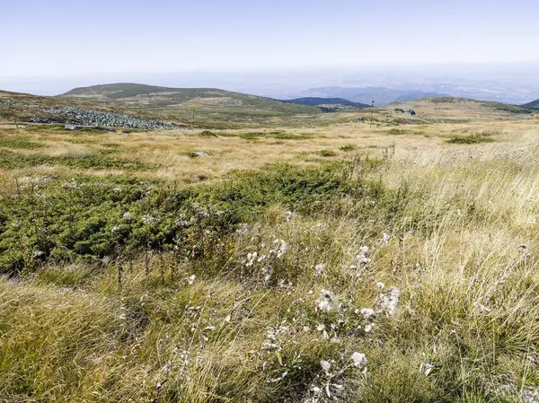Bulgaristan 'ın Cherni Vrah zirvesi yakınlarındaki Vitosha Dağı' nın şaşırtıcı sonbahar manzarası