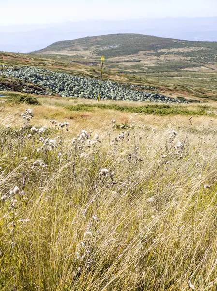Bulgaristan 'ın Cherni Vrah zirvesi yakınlarındaki Vitosha Dağı' nın şaşırtıcı sonbahar manzarası