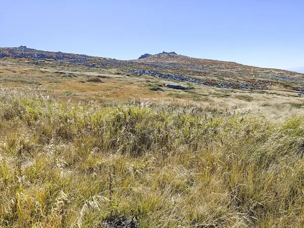 Bulgaristan 'ın Cherni Vrah zirvesi yakınlarındaki Vitosha Dağı' nın şaşırtıcı sonbahar manzarası