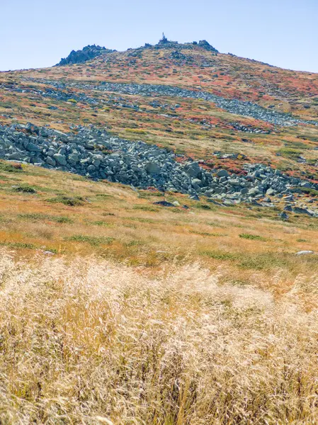 Bulgaristan 'ın Cherni Vrah zirvesi yakınlarındaki Vitosha Dağı' nın şaşırtıcı sonbahar manzarası