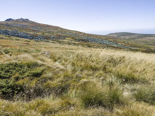 Bulgaristan 'ın Cherni Vrah zirvesi yakınlarındaki Vitosha Dağı' nın şaşırtıcı sonbahar manzarası