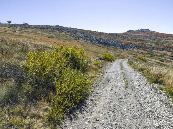 Bulgaristan 'ın Cherni Vrah zirvesi yakınlarındaki Vitosha Dağı' nın şaşırtıcı sonbahar manzarası