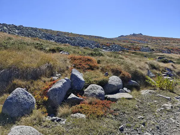 Bulgaristan 'ın Cherni Vrah zirvesi yakınlarındaki Vitosha Dağı' nın şaşırtıcı sonbahar manzarası