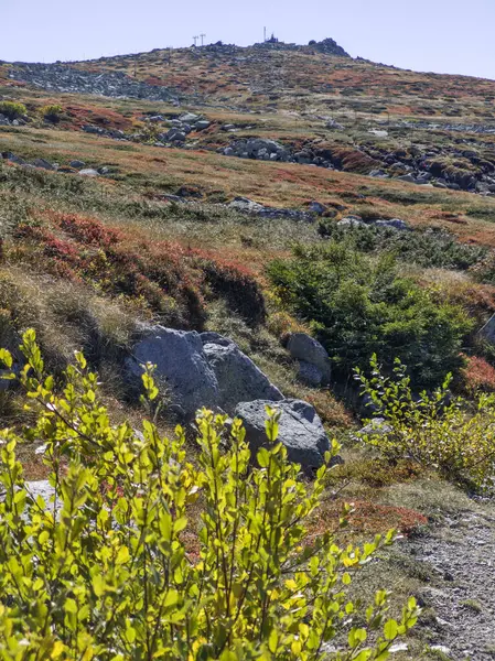 Bulgaristan 'ın Cherni Vrah zirvesi yakınlarındaki Vitosha Dağı' nın şaşırtıcı sonbahar manzarası