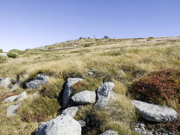 Bulgaristan 'ın Cherni Vrah zirvesi yakınlarındaki Vitosha Dağı' nın şaşırtıcı sonbahar manzarası