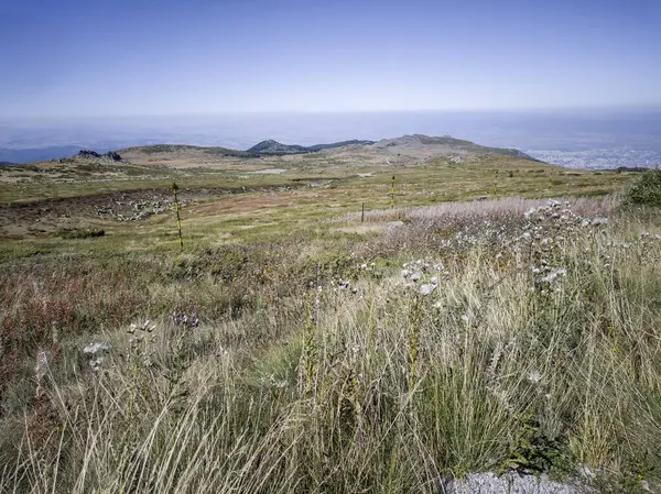 Bulgaristan 'ın Cherni Vrah zirvesi yakınlarındaki Vitosha Dağı' nın şaşırtıcı sonbahar manzarası