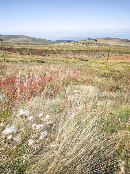Bulgaristan 'ın Cherni Vrah zirvesi yakınlarındaki Vitosha Dağı' nın şaşırtıcı sonbahar manzarası