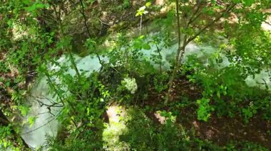 Bulgaristan 'ın Filibe bölgesindeki Rodos Dağı' nda Bachkovo şelaleleri çağlıyor