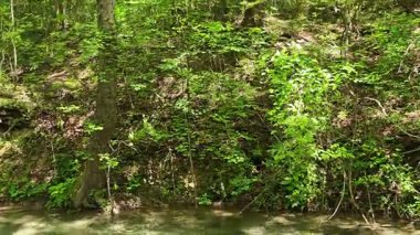 Bulgaristan 'ın Filibe bölgesindeki Rodos Dağı' nda Bachkovo şelaleleri çağlıyor