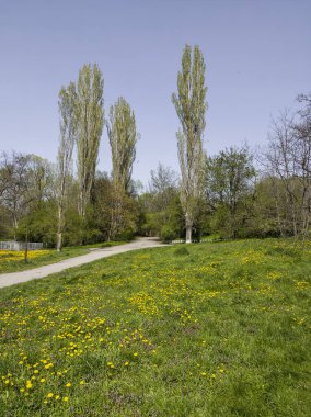 Bulgaristan 'ın Sofya kentindeki South Park' ın İnanılmaz Bahar Manzarası