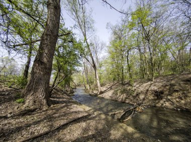 Bulgaristan 'ın Sofya kentindeki South Park' ın İnanılmaz Bahar Manzarası