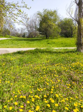 Bulgaristan 'ın Sofya kentindeki South Park' ın İnanılmaz Bahar Manzarası