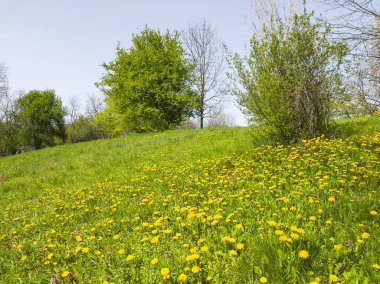 Bulgaristan 'ın Sofya kentindeki South Park' ın İnanılmaz Bahar Manzarası