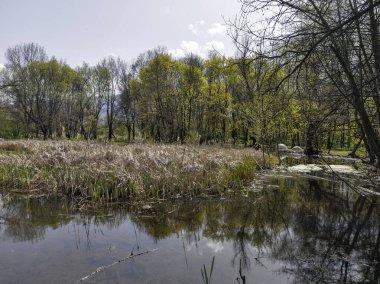 Bulgaristan 'ın Sofya kentindeki South Park' ın İnanılmaz Bahar Manzarası