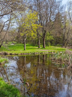 Bulgaristan 'ın Sofya kentindeki South Park' ın İnanılmaz Bahar Manzarası