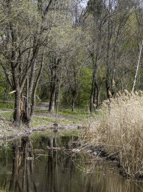 Bulgaristan 'ın Sofya kentindeki South Park' ın İnanılmaz Bahar Manzarası