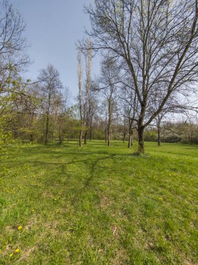 Bulgaristan 'ın Sofya kentindeki South Park' ın İnanılmaz Bahar Manzarası