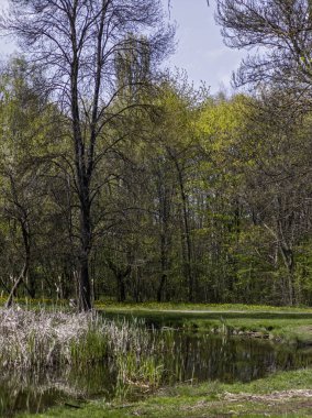 Bulgaristan 'ın Sofya kentindeki South Park' ın İnanılmaz Bahar Manzarası