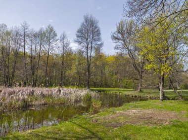 Bulgaristan 'ın Sofya kentindeki South Park' ın İnanılmaz Bahar Manzarası