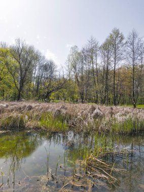 Bulgaristan 'ın Sofya kentindeki South Park' ın İnanılmaz Bahar Manzarası