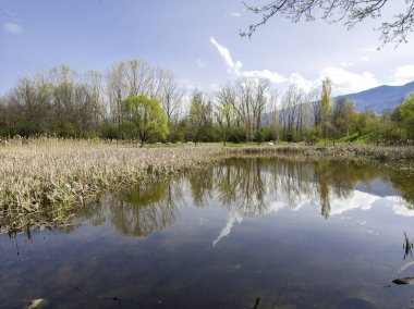 Bulgaristan 'ın Sofya kentindeki South Park' ın İnanılmaz Bahar Manzarası