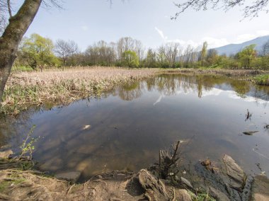 Bulgaristan 'ın Sofya kentindeki South Park' ın İnanılmaz Bahar Manzarası