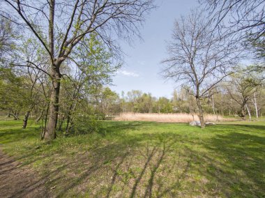 Bulgaristan 'ın Sofya kentindeki South Park' ın İnanılmaz Bahar Manzarası